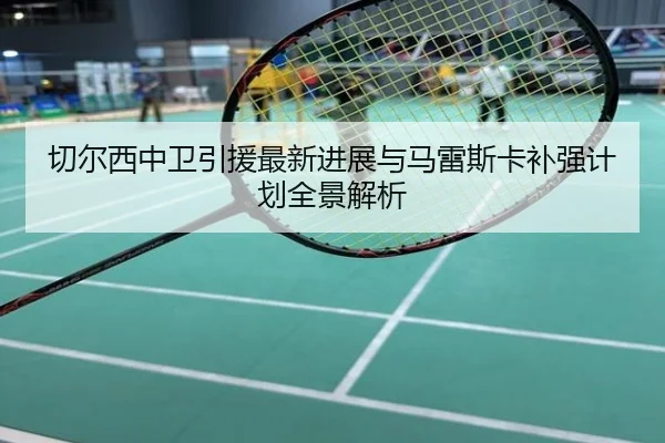 切尔西中卫引援最新进展与马雷斯卡补强计划全景解析
