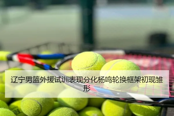 辽宁男篮外援试训表现分化杨鸣轮换框架初现雏形
