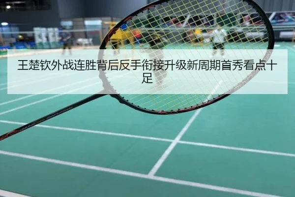 王楚钦外战连胜背后反手衔接升级新周期首秀看点十足