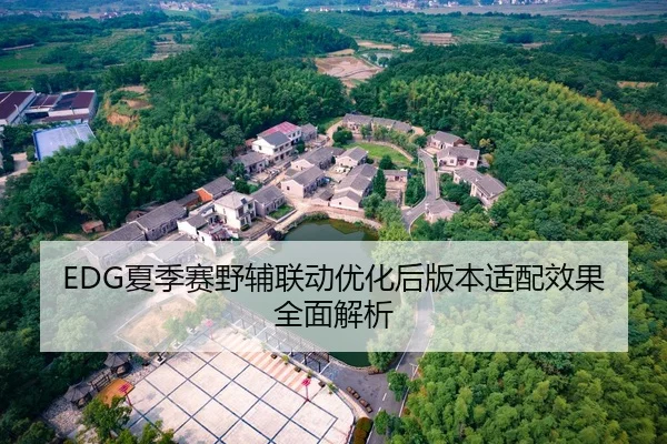 EDG夏季赛野辅联动优化后版本适配效果全面解析