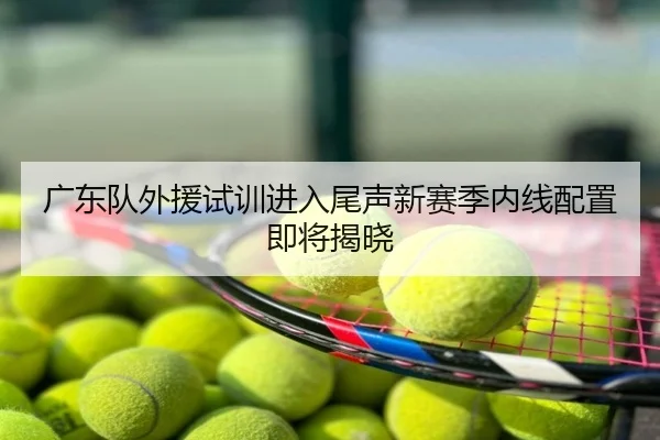 广东队外援试训进入尾声新赛季内线配置即将揭晓